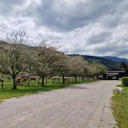 Apartment Leo-hof Hirschwang
