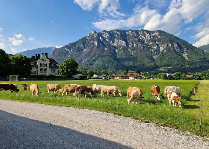 Leo-hof Apartman Hirschwang