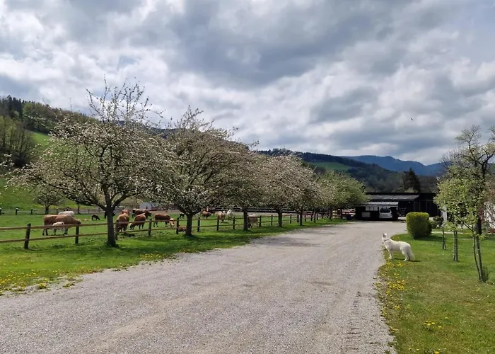 Apartment Leo-hof Hirschwang